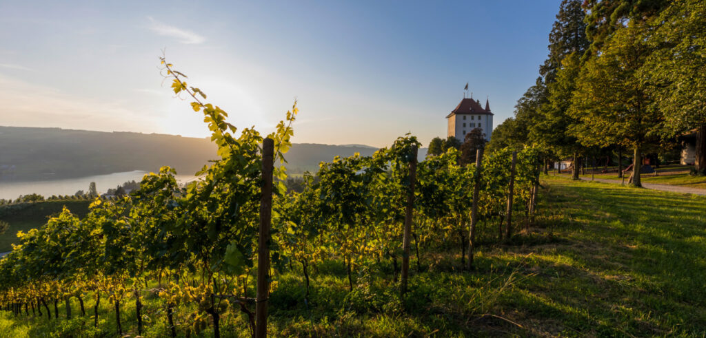 2019 vier Grossanlässe im Seetal