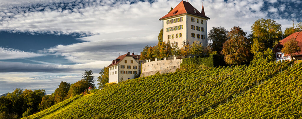 2013 Vereinigung Pro Heidegg